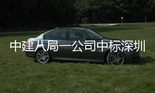 八局标深目，0米司中厦项中建圳粤再添建筑地大高层超一公海置